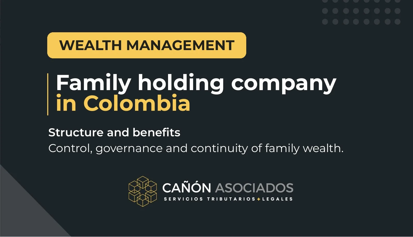 Family holding company in Colombia: structure, benefits and asset protection