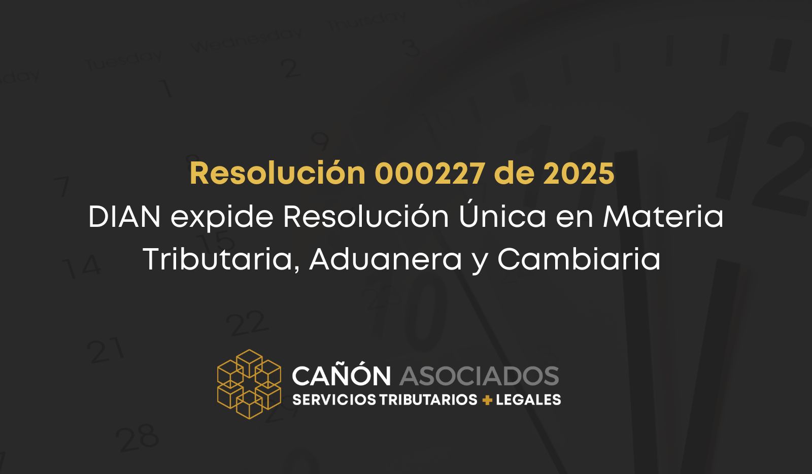 Resolución 000227 de 2025 DIAN expide Resolución Única en Materia Tributaria, Aduanera y Cambiaria