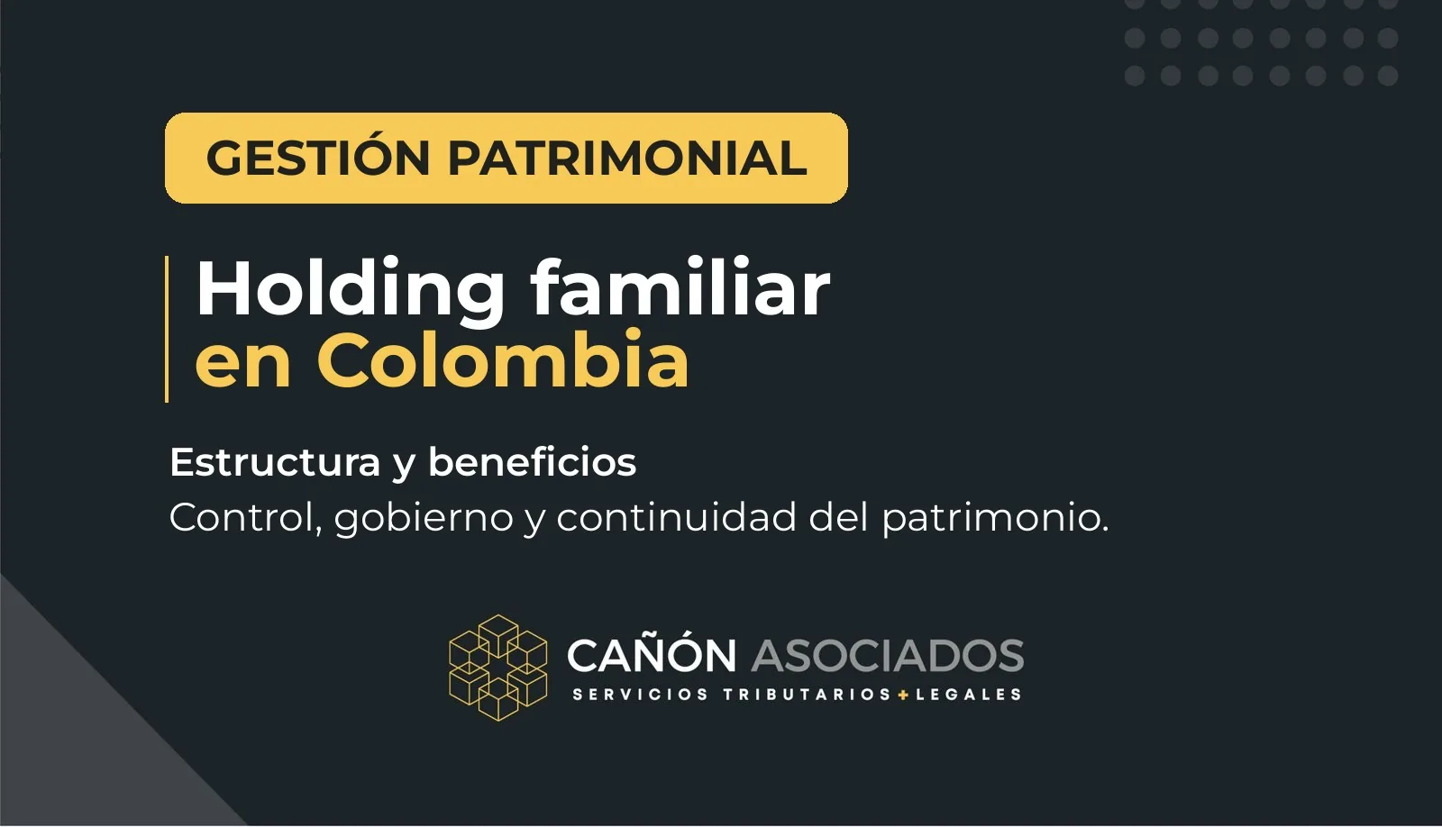 Holding familiar en Colombia: ventajas, control y protección del patrimonio